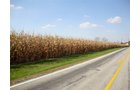 Property photo 3 - 145+/- Acres Offered in 6 Tracts Real Estate Auction